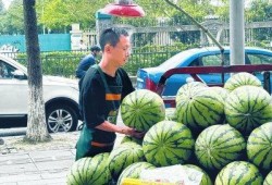 摆摊网红吃瓜视频大全,趣味视频大全集锦