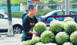 摆摊网红吃瓜视频大全,趣味视频大全集锦