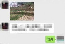 茂名真实爆料事件最新,揭开背后惊人真相