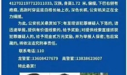 石头镇最新爆料新闻事件,揭秘背后真相