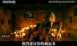 诡屋在线观看,在线揭秘神秘宅邸的恐怖之谜