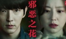 好人韩剧在线观看,温情脉脉，治愈心灵