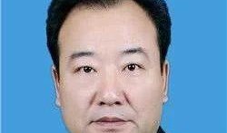 庆阳爆料视频最新消息新闻,揭秘事件真相，引发社会关注