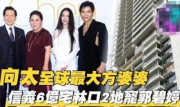 娱乐圈爆料向佐,揭秘明星背后的故事