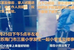 内乡一高爆料事件始末视频,真相与争议的交织