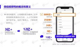 六姐网友爆料视频下载网站,热门视频下载网站大盘点