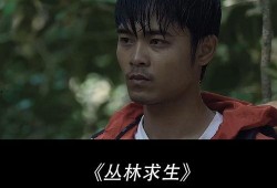 密林 电影在线观看,揭秘神秘森林的惊悚之旅