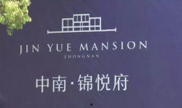 爆料王先生最新,娱乐圈背后的惊人真相