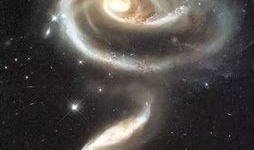 仰望星空真实爆料视频下载,真实爆料视频背后的惊人真相