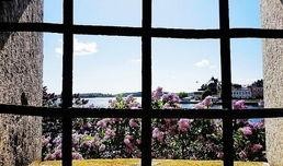 窗外 在线观看,线上尽览