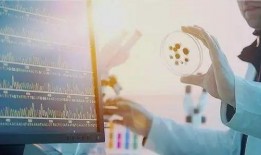 仪禾生物爆料最新消息新闻,揭秘行业重大突破，引领生物科技新篇章