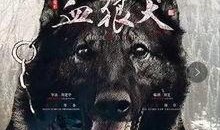 野狼在线观看,狂野追踪，热血沸腾的冒险之旅