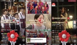 一坨小红花爆料视频大全,揭秘娱乐圈幕后故事