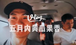 网红主播带你吃瓜视频大全,视频大全精彩回顾