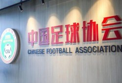 足协爆料新闻视频大全,新闻视频大全精彩回顾