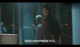 哥 在线观看免费,揭秘网络热剧的魅力所在