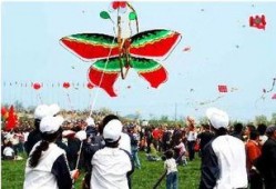 东岛风筝爆料视频大全,揭秘风筝世界的精彩瞬间