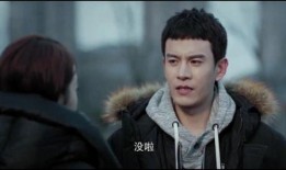 陈飞宇被明星爆料视频在线观看,在线观看引发热议