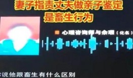 陈志显案件爆料视频