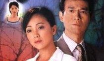 红杏劫 在线观看,揭秘古代宫廷权谋与爱情纠葛