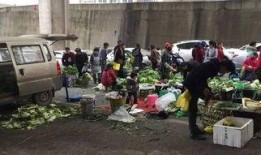 市井小市民爆料视频,街头奇闻异事大揭秘