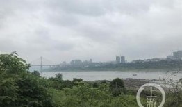 重庆大渡口最新爆料