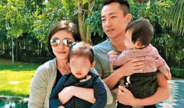 爆料汪小菲照片事件视频,真相与争议并存