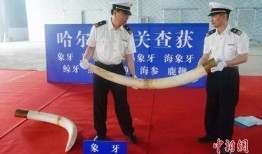 东兴365新闻爆料走私