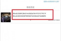 爆料视频 模板素材下载,模板素材下载背后的秘密