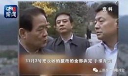 内乡一高爆料事件始末视频,真相与争议的交织