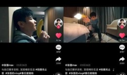 姐夫哥爆料视频大全下载,揭秘娱乐圈幕后真相