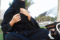 娱乐吃瓜君笑场,揭秘娱乐圈幕后趣闻