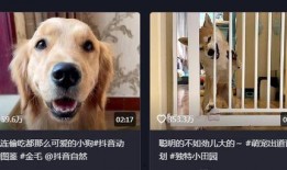 抖音狗崽爆料视频大全最新