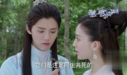 在线观看择天记,奇幻世界中的命运抉择与成长之旅