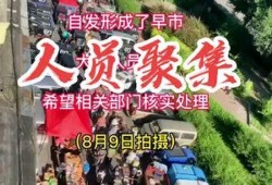 社会百态网友爆料视频下载,社会百态视频引发热议，下载观看揭示真实人间百态