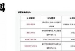 猪价最新爆料新闻视频,最新爆料视频深度解析