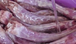 央视爆料鸭脖视频大全