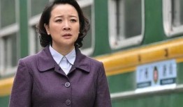 陈小艺爆料卢芳视频播放,真相背后引人深思