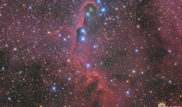 仰望星空真实爆料视频下载,真实爆料视频背后的惊人真相