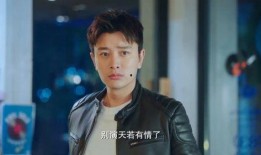 海哥前妻爆料视频