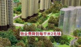 爆料房地产视频大全集,视频大全集深度解析