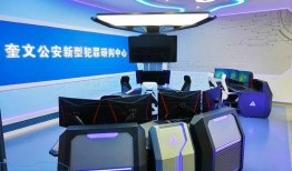 犯罪活动 在线观看,在线观看背后的黑暗世界