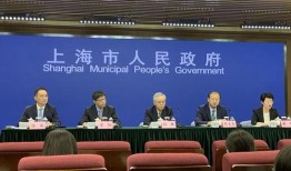 新民美丽之都爆料新闻,揭秘城市新亮点，探寻魅力都市新篇章