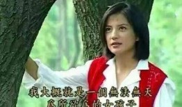 娱乐圈爆料几百页,数百页秘闻揭秘，明星幕后真相大曝光