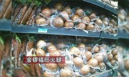 央视爆料鸭脖视频大全