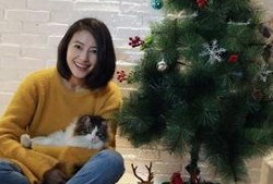 娱乐圈爆料高圆圆,娱乐圈新恋情引发热议
