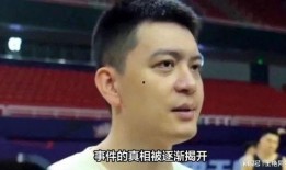 杨鸣小三的爆料者视频播放,揭秘背后惊人真相