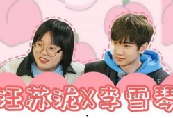 爆料明星塌房视频大全集,明星塌房视频大全集深度解析