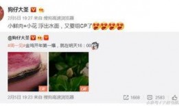 卓伟爆料郑爽赵丽颖视频,郑爽赵丽颖神秘视频引发热议