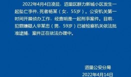 新城最新爆料新闻视频,最新爆料新闻视频深度解析